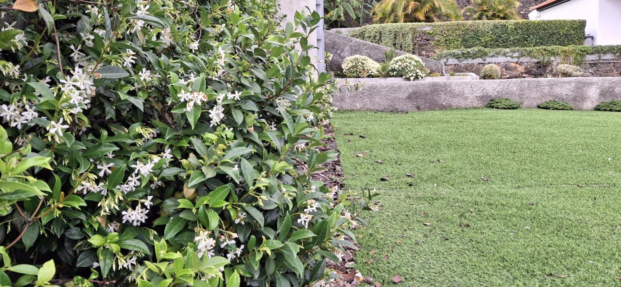 Moradia Stephanie Funchal  Kültér fotó